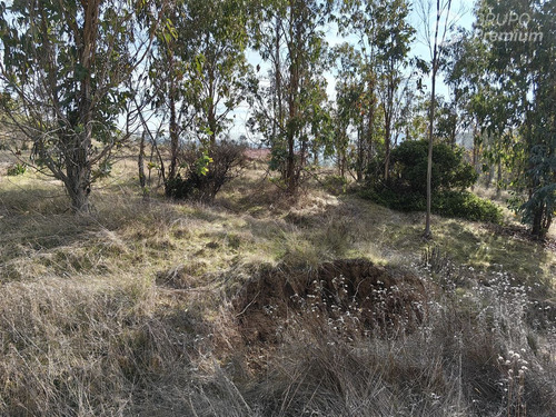 Terreno En Venta En Comuna De Navidad, 5.000 M2, Vi Región,