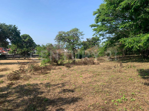 Terreno En Venta En Coatepec, Veracruz