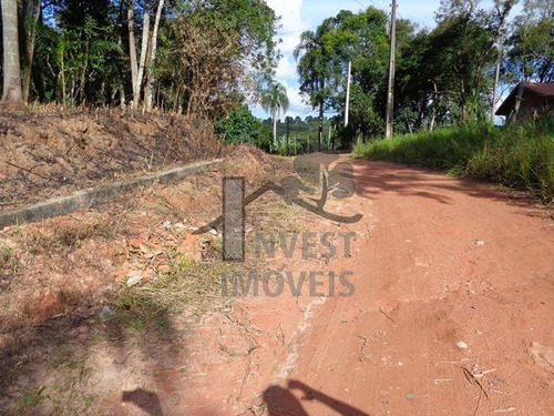 Imagem 4 de 7 de Cód 2050 - Terreno Pronto Para Construir. - 2050