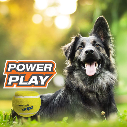 Pelota De Tenis Nylabone Power Play De Juguete Para Perros G