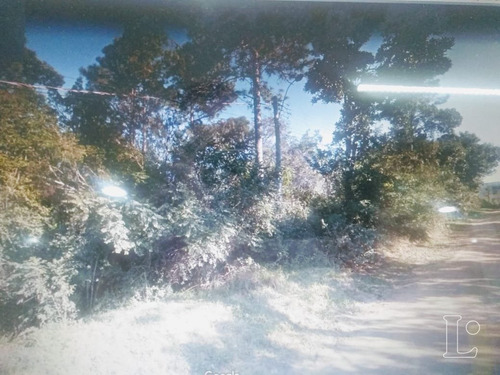 Terreno Em Hípica - Lu272882