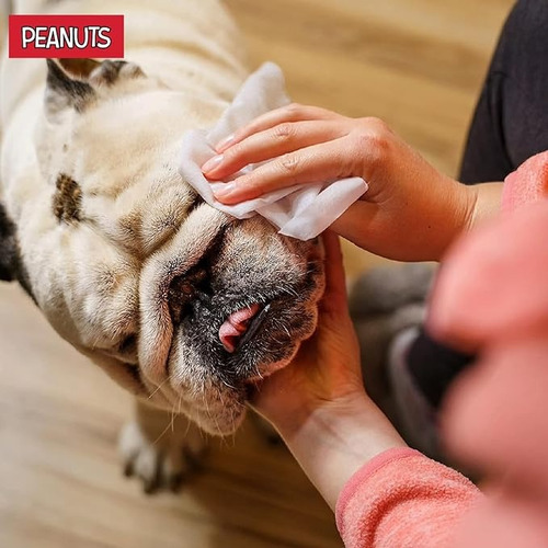 Peanuts - Toallas Húmedas Para Perro Aroma Coco 80pzas