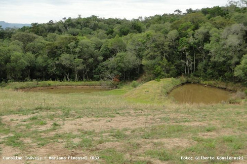 Imagem 11 de 15 de Sítio / Chácara Para Venda Em Mariana Pimentel, Linha Preta - Mariana Pimentel - 1256_1-542909