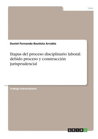 Libro Etapas Del Proceso Disciplinario Laboral : Debido P...