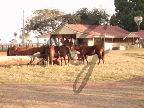 Imagem 7 de 13 de Fazenda - Fa00003 - 69828304