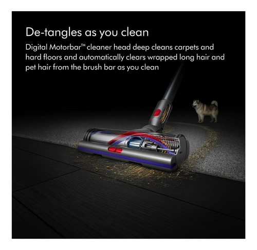 Aspiradora Inalámbrica De Mano Dyson V15 Detect