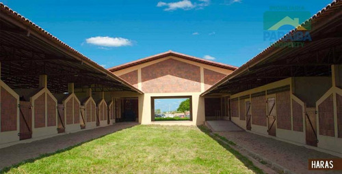 Imagem 3 de 15 de Lote Residencial À Venda, Zona Rural, Riachão Do Bacamarte - Te0014. - Te0014