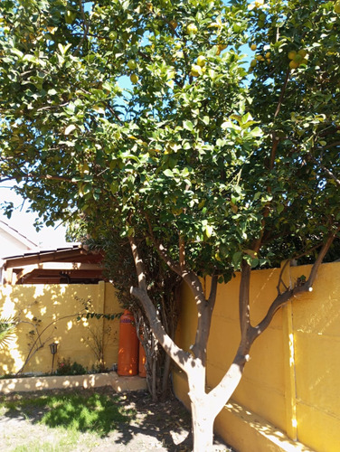 Bella Casa 1 Piso Psje Las Maravillas 2da Etapa
