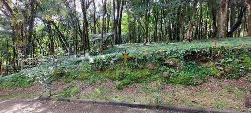 Imagem 1 de 16 de Terreno A Venda - 1069