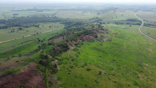 Imagen 4 de 14 de I.l Se Vende Finca En San Antonio De Caparo