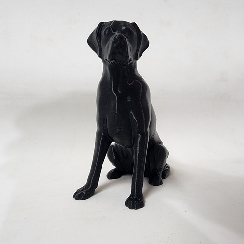 Estatua Figura Perro Labrador Deco Original Caba Envios