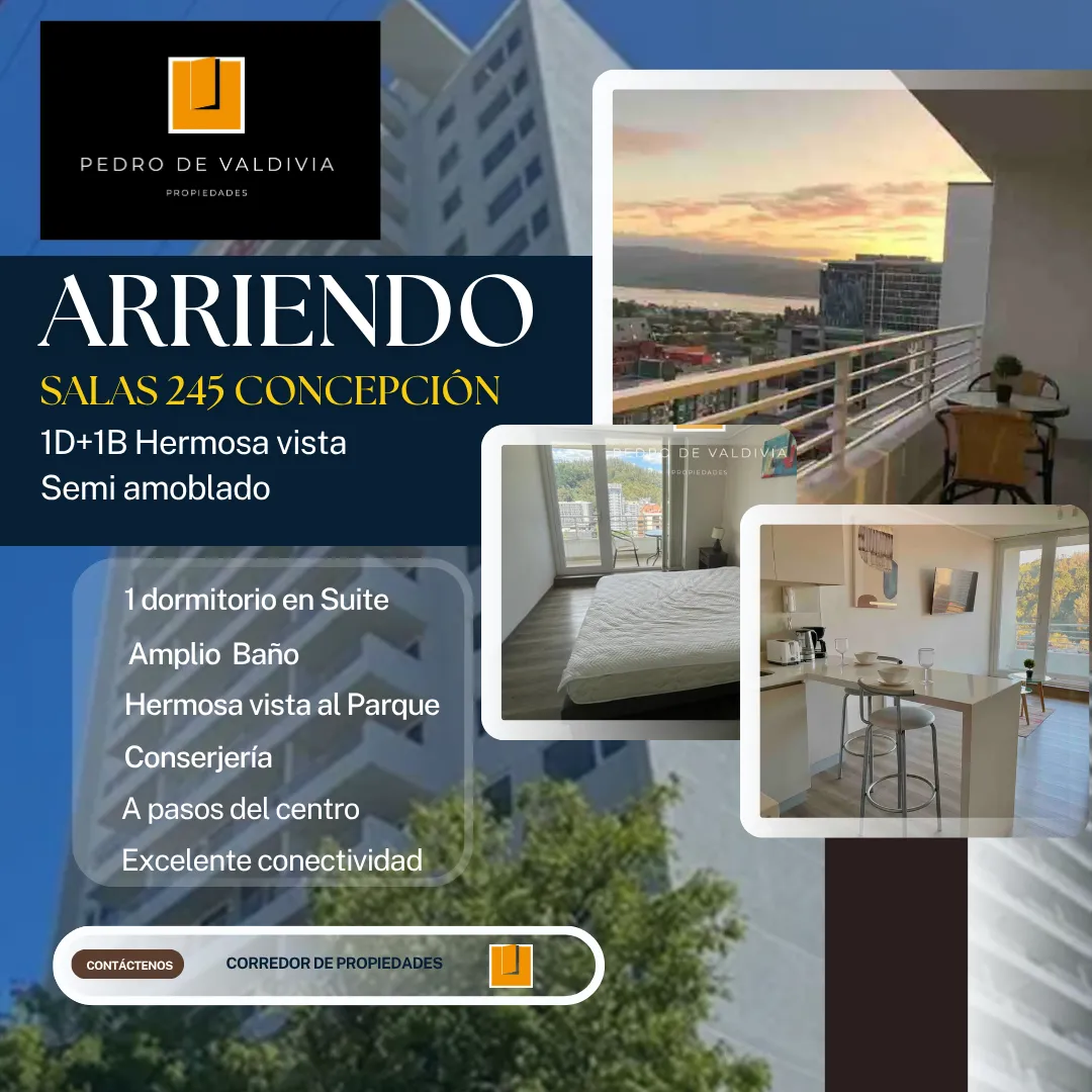 Imagen 1 de 18 de Arriendo Moderno Departamento Semi Amoblado Vista Al Parque