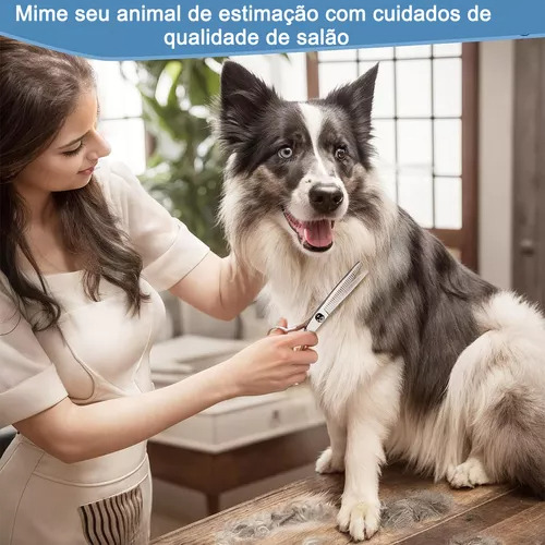 Kit De 4 Tijeras De Aseo Y Aseo Profesionales Para Tiendas D