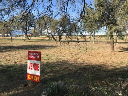 Imagen 6 de 14 de Lote Solares Del Valle