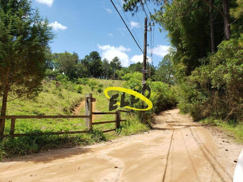 Imagem 1 de 19 de Terreno À Venda, 21250 M² Por R$ 1.100.000,00 - Jardim Nossa Senhora Das Graças - Cotia/sp - Te0873