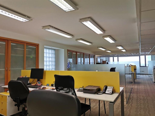 Oficina En Venta De 7 Dormitorios O Mas En Centro