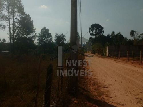 Imagem 4 de 6 de Cód 1833 - Terreno De 9.212 M² - 1833