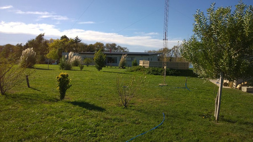 Sensacional Chacra En Viedma, Sobre 10.000m2 De Terreno.