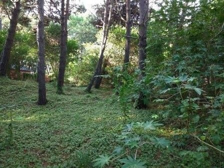 Imagen 5 de 6 de Terreno En Venta En Mar De Las Pampas