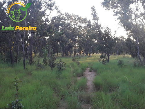 Imagem 4 de 14 de Fazenda À Venda Em São Valério - To - 968 Hectares (dupla Aptidão) - 2103