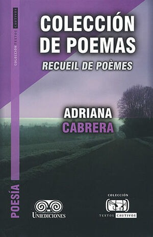 Libro Colección De Poemas / Recueil De Poèmes