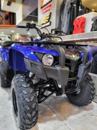 Imagen 12 de 13 de Yamaha Grizzly 300 Excelente Estado Tamburrino Motos