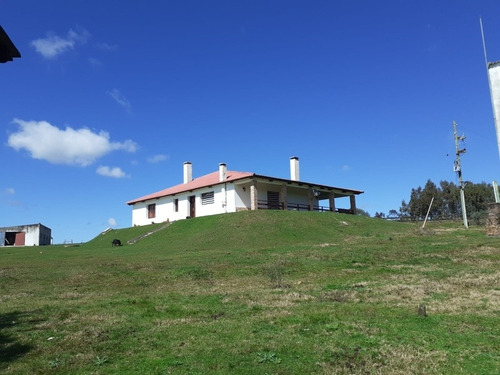 Campo Financiado