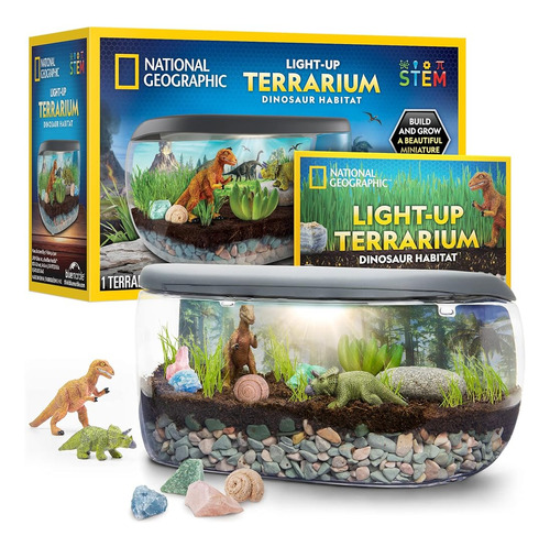National Geographic Light Up Terrarium Kit For Kids - Dinosa