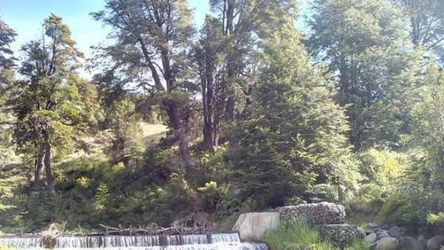 Imagen 23 de 28 de Grupo Patagonia Vende 4.2 Hectáreas (todos Los Servicios Instalados Y Costa De Arroyo). Sobre Camino A Valle Escondido -club De Campo-, San Martín De Los Andes, Patagonia Argentina