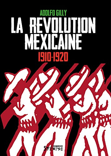 La Revolution Mexicaine 1910-1920: Une Revolution Interrompu