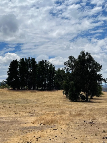 Terreno En Entorno Tranquilo Y Natural (130863)