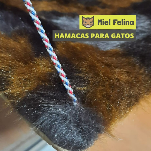 Imagen 1 de 1 de Cama Hamaca De Ventana Plegable Para Gatos - Miel Felina