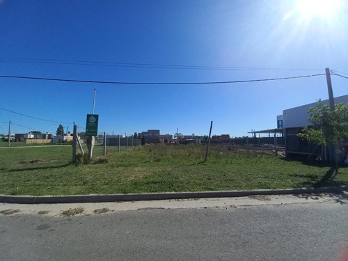 Terreno En Don Carlos - 15 X 28 - Reventa - La Plata