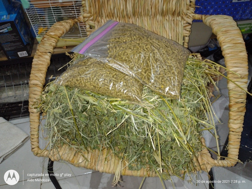 Comida Para Cuyos Y Conejos