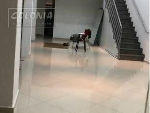 Imagem 6 de 14 de Comercial Para Locação - 3619005