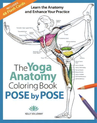 Pose By Pose : Learn The Anatomy And Enhance Your Practice, De Kelly Solloway. Editorial Mixed Media Resources, Tapa Blanda En Inglés