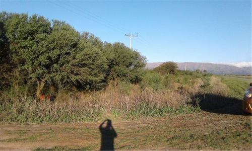 Campo 145ha Sobre Ruta 6 En Villa Larca San Luis
