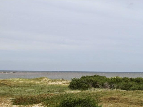 Imagen 7 de 12 de Lote | Ruta 10