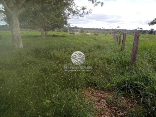 Imagem 5 de 14 de Venda Sítio Machadinho D'oeste Em Rondônia - Sia247