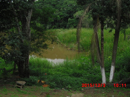 Imagem 1 de 15 de Casa Com Lago Próximo A Cidade | 43683 - 43683