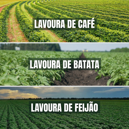 Trichoderma Harzianum, Controle De Fusarium E Rhizoctonia 1l
