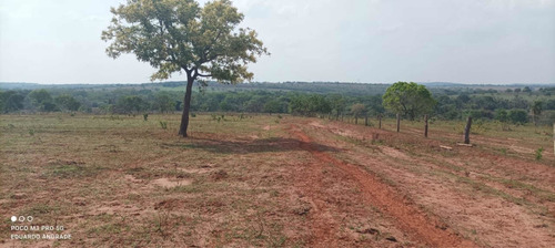 Imagem 13 de 13 de Fazenda Município De Comendador Gomes