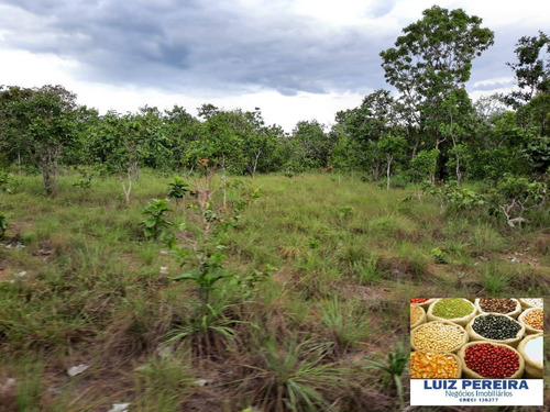 Fazenda À Venda Em Pium - To - De 170 Alqueirões (dupla Aptidão) - 1609
