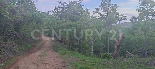 Lote En Venta En Zipolite Arroyo Tres, 960 Mts2.