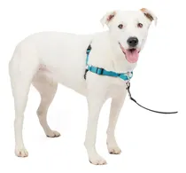 Comprar Arnés De Adiestramiento Anti Tirones Para Perros Reflectante