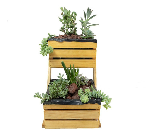 Mini Cultivo Vertical Suculentas