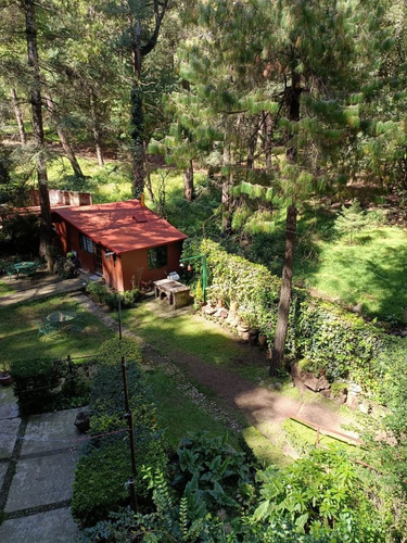 Imagen 1 de 19 de Departamento Tipo Cabaña En Medio Del Bosque Cerca De Santa Fe Pet Friendly Zona Ecolgica San Mateo Tlaltenango