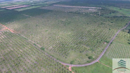 Imagem 8 de 12 de Fazenda 111ha, Santa Luzia De Touros