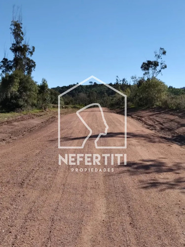 Venta Terrenos En Nuevo Fraccionamiento Punta Colarada