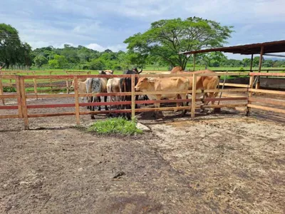 Hacienda-Finca en venta